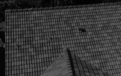 Aerial view of a concrete tile roof in low evening light